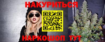 spice Гатчина