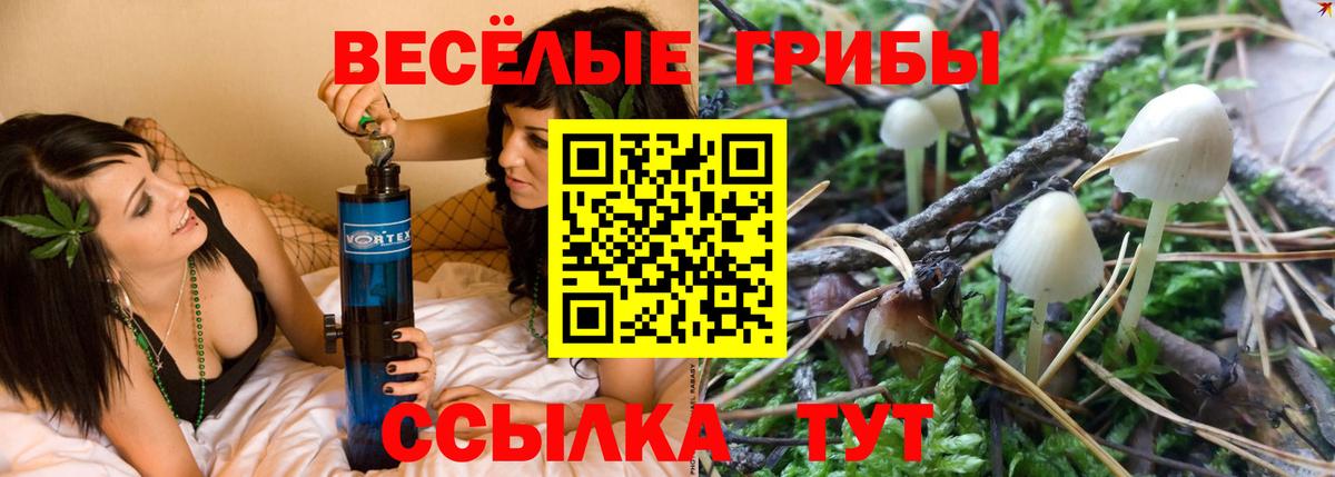 Псилоцибиновые грибы мицелий  Вход с VPN  Богданович 