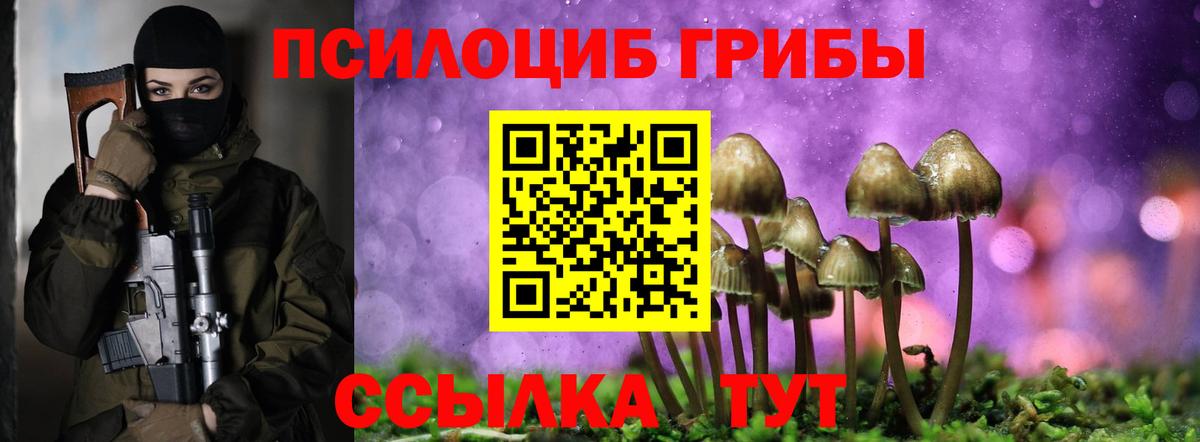 Галлюциногенные грибы Psilocybine cubensis Богданович